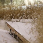 Zima przypomniała o swoim istnieniu