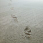 03.01.2025. Kielce. Śnieg. / Fot. Wiktor Taszłow - Radio Kielce