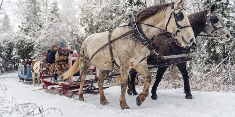 Kulig na wsi / Fot. Canva