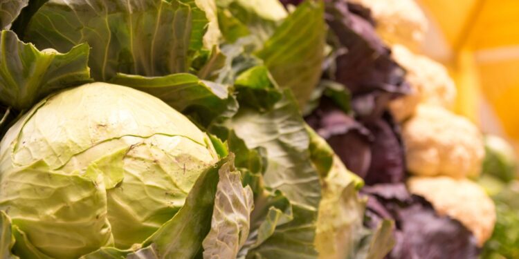 Na targu tanieje kapusta / Fot. Canva