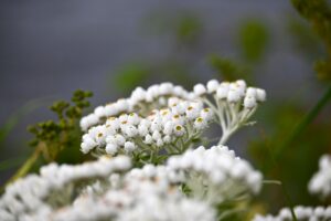 Szkocja / Fot. Anna Adamska-Wełnicka i Marcin Wełnicki