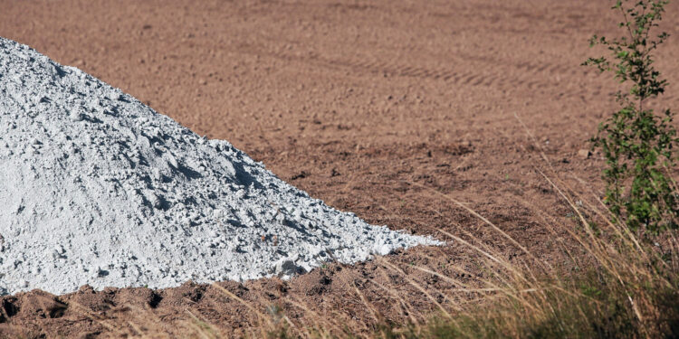 Fot. Robert Felczak - Radio Kielce