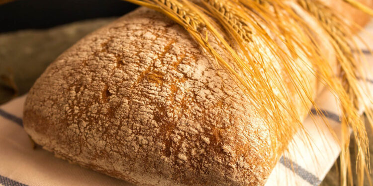 Będzie żywność z dodatkiem larw owadów - Radio Kielce