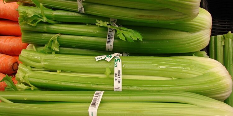 Zielony parapet – seler naciowy - Radio Kielce