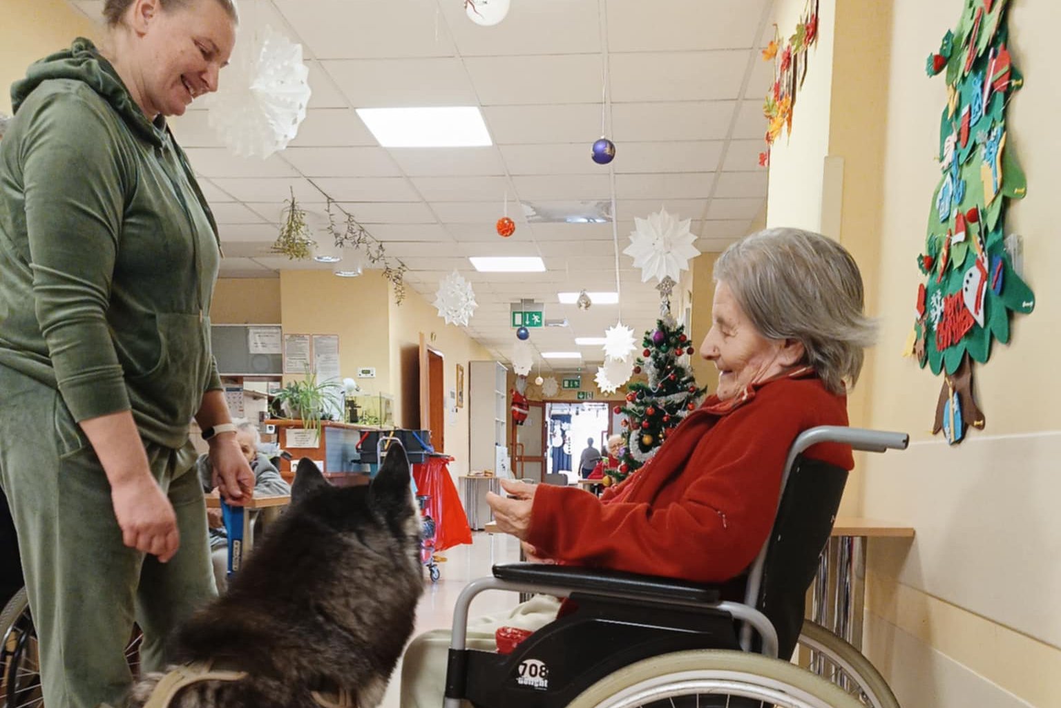 Hachi pomoże w rehabilitacji chorych