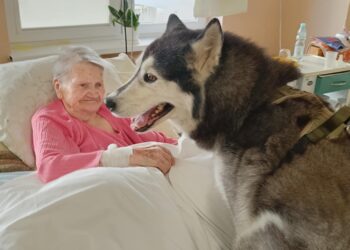 Starachowice. Dogoterapia w ZOL-u / Fot. Szpital Starachowice