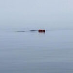 26.02.2025. Międzyzdroje. Akcja ratowania wieloryba, który najprawdopodobniej zaplątał się w sieci około 100 metrów od linii brzegowej w pobliżu bazy rybackiej w Międzyzdrojach / Fot. PAP - Piotr Golian / WOPR