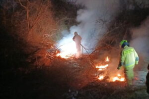 Gorąca noc strażaków. Płoną trawy