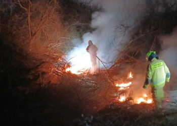 Gorąca noc strażaków. Płoną trawy