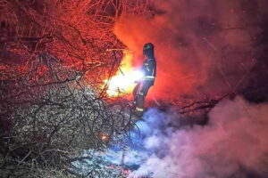 Gorąca noc strażaków. Płoną trawy - Radio Kielce