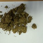 19.02.2025. Ostrowiec Świętokrzyski. Zabezpieczone materiały dowodowe / źródło: KPP w Ostrowcu Świętokrzyskim