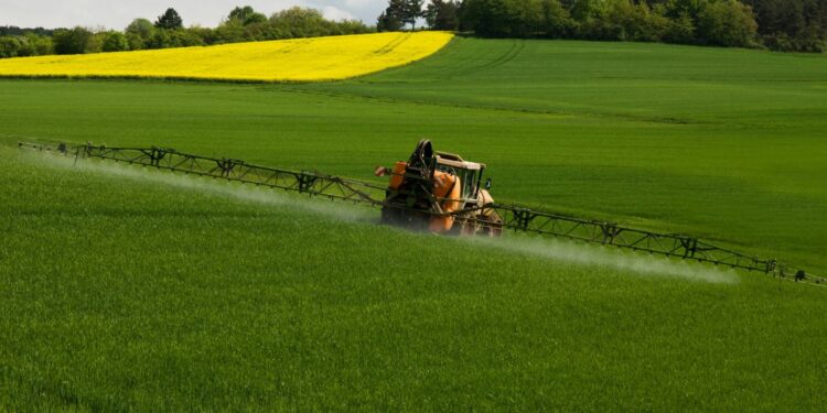 Uwaga! Rolnicy do końca lutego muszą złożyć oświadczenie - Radio Kielce