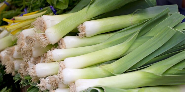 Pora na pora - Radio Kielce