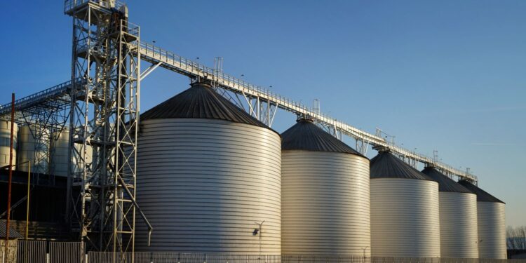 Najwięcej pszenicy, drobiu i żywca wieprzowego skupowano w grudniu 2024 roku w Świętokrzyskiem.