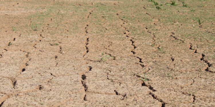 Pomoc suszowa także w 2025 roku - Radio Kielce