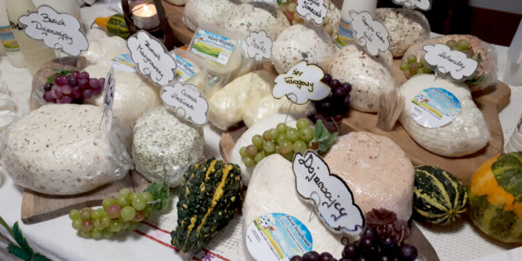 Świętokrzyskie Perły 2024 – buncok strzałkowski - Radio Kielce Świętokrzyskie Perły 2024 – buncok strzałkowski - Radio Kielce