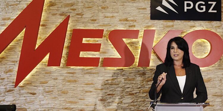 Na zdjęciu: prezes zarządu MESKO Renata Gruszczyńska / Fot. Jarosław Kubalski - Radio Kielce