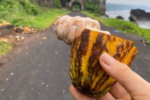 Sao Tome / Fot. Bożena Woźniczka