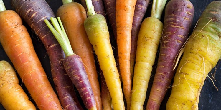 Marchewka po koreańsku - Radio Kielce