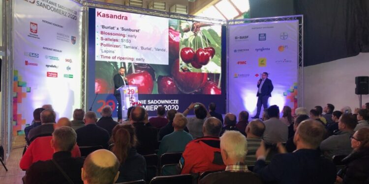 Będzie 33 Spotkanie Sadownicze w Sandomierzu - Radio Kielce