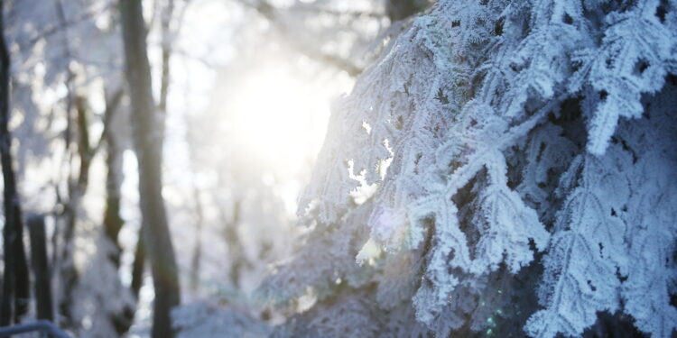 Luty bywa w lód okuty - Radio Kielce
