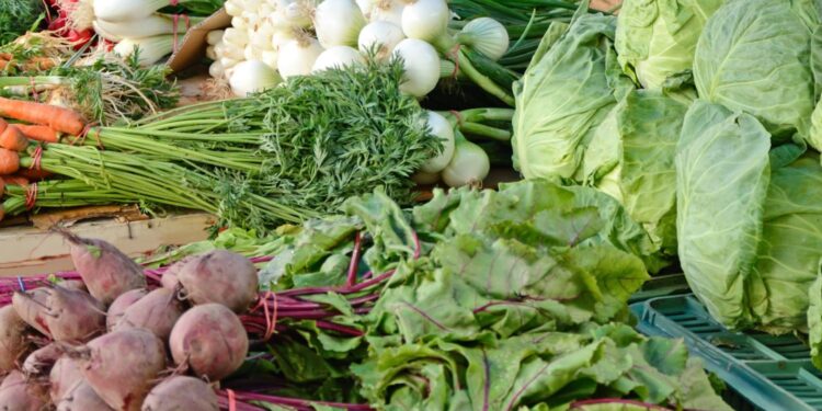 Inspekcja Jakości Handlowej Artykułów Rolno-Spożywczych zablokowała wjazd towarów - Radio Kielce Inspekcja Jakości Handlowej Artykułów Rolno-Spożywczych zablokowała wjazd towarów - Radio Kielce