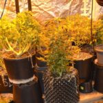 Fot. KPP w Starachowicach