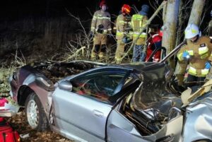 02.03.2025. Obice. Śmiertelny wypadek / Fot. Straż Pożarna