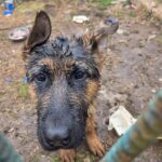 Fot. Policja Świętokrzyska