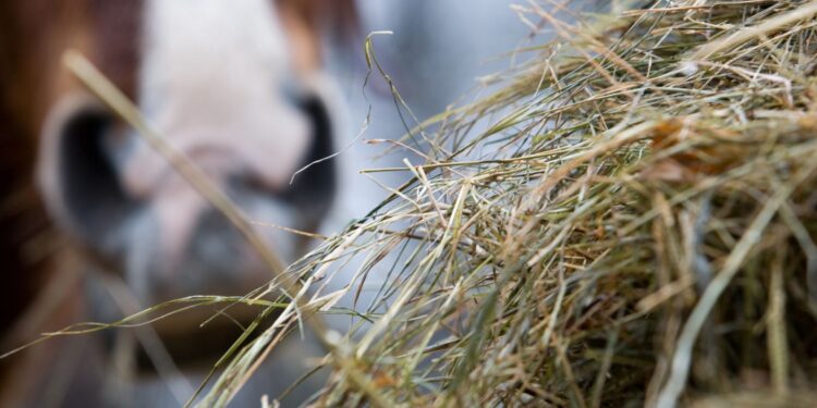 Uwaga, ostatnie dni na szkolenie - Radio Kielce