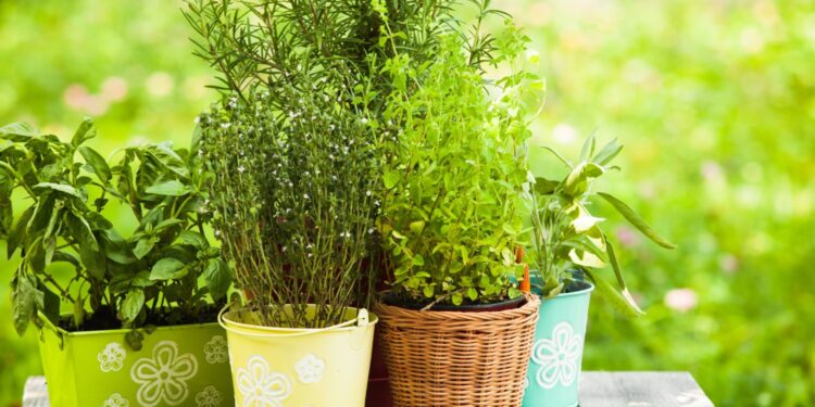 Zielony parapet / Fot. Canva