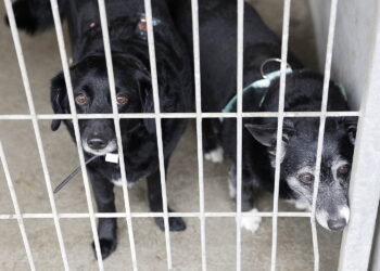 Fot. Jarosław Kubalski - Radio Kielce