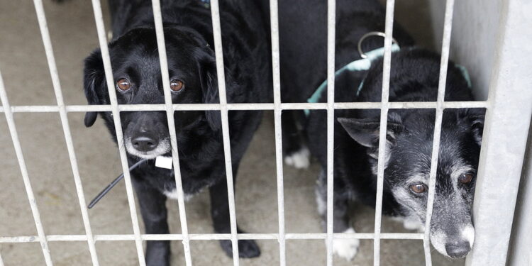 Fot. Jarosław Kubalski - Radio Kielce