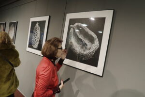 27.02.2025. Kielce. Biblioteka UJK. Kapsuła życia – spektrum światła. Wystawa Moniki Iwan / Fot. Jarosław Kubalski - Radio Kielce