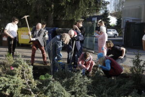 Kwietna kooperacja seniorów i młodzieżowych radnych - Radio Kielce