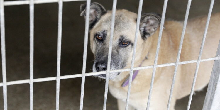 Fot. Jarosław Kubalski - Radio Kielce