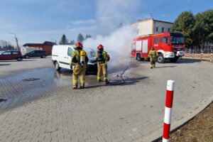 Pożar samochodu z ptakami ozdobnymi i innymi zwierzętami