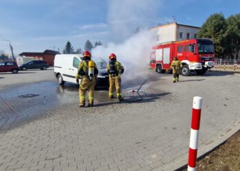 Pożar samochodu z ptakami ozdobnymi i innymi zwierzętami