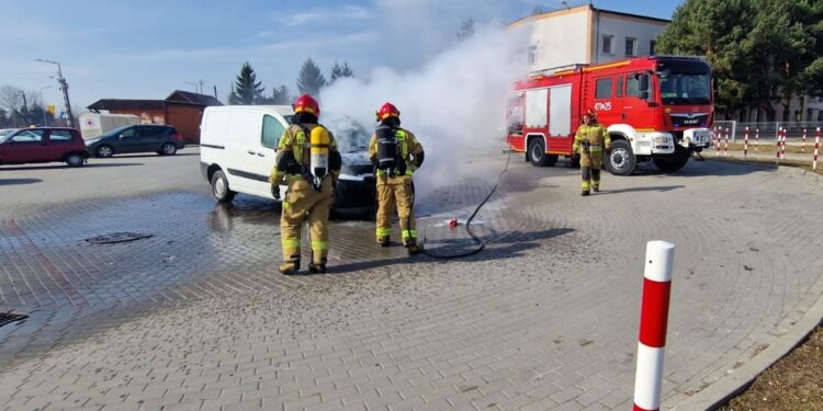 Pożar samochodu z ptakami ozdobnymi i innymi zwierzętami