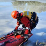 Strażacy uratowali psa, pod którym załamał się lód - Radio Kielce