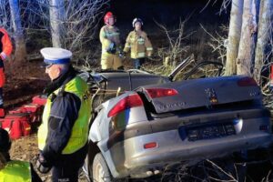 02.03.2025. Obice. Śmiertelny wypadek / Fot. Straż Pożarna