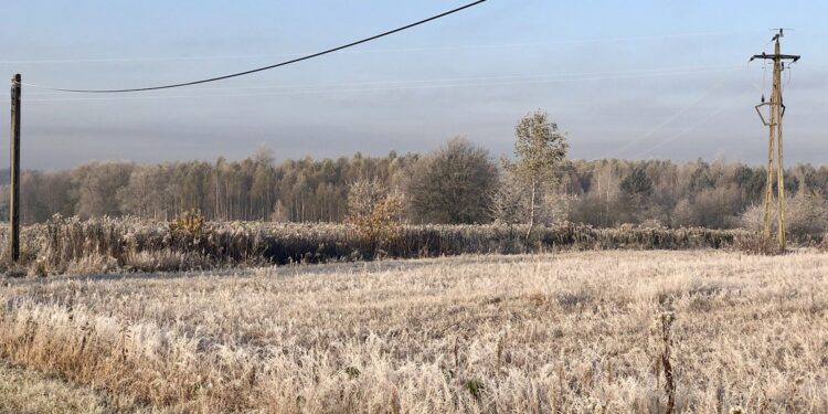 Marzec – figlarzec przeplata, trochę zimy, trochę lata - Radio Kielce Marzec – figlarzec przeplata, trochę zimy, trochę lata - Radio Kielce