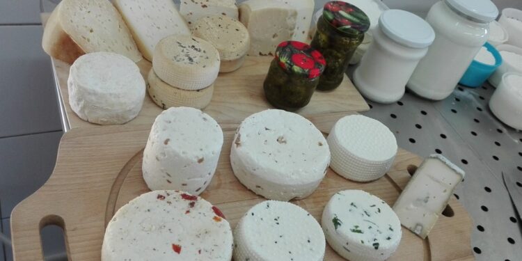 Kozie frykasy od Dybowskich ze Słupca - Radio Kielce