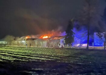 Pożar kurnika. W akcji 11 zastępów straży pożarnej