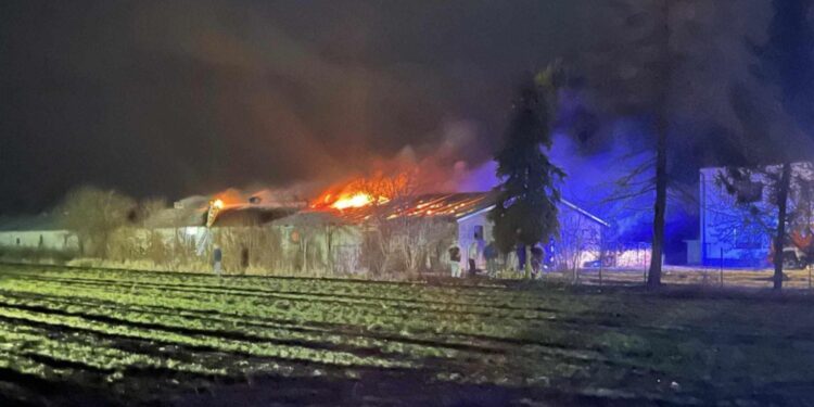 Pożar kurnika. W akcji 11 zastępów straży pożarnej