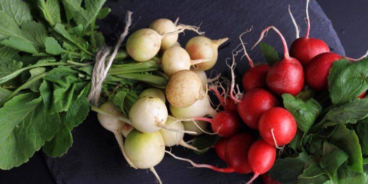 Zielony parapet – rzodkiewka śnieżka - Radio Kielce