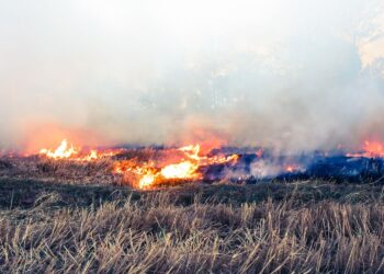 78-latek pierwszą ofiarą śmiertelną pożarów traw w tym roku