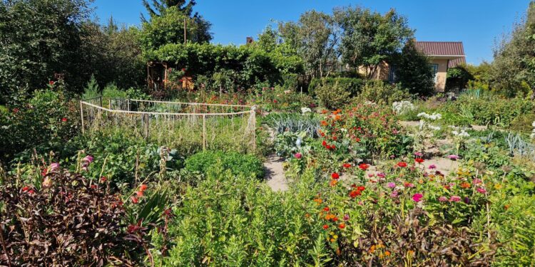 Ogród Działkowy imienia Bolesława Chrobrego w Kielcach / Fot. Marzena Smoręda - Radio Kielce