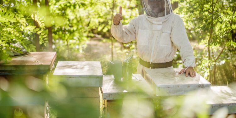 Pszczelarze świętują - Radio Kielce Pszczelarze świętują