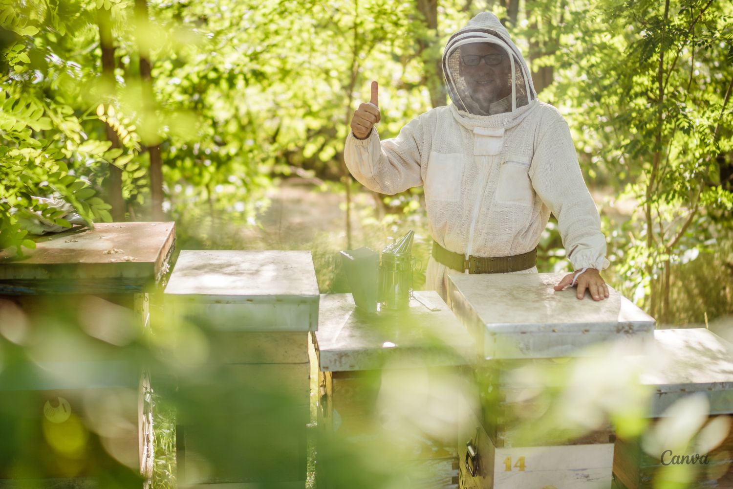 Pszczelarze świętują